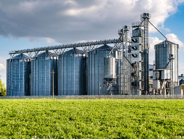 Fertilizer Plants